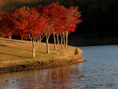 c0068639_2321492.jpg