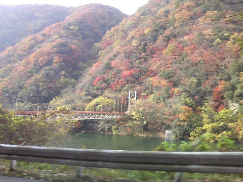 f0128542_10163928.jpg