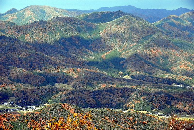 f0150643_9313576.jpg