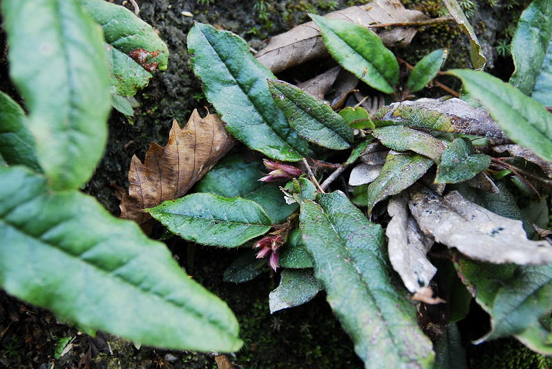 f0150643_9502188.jpg