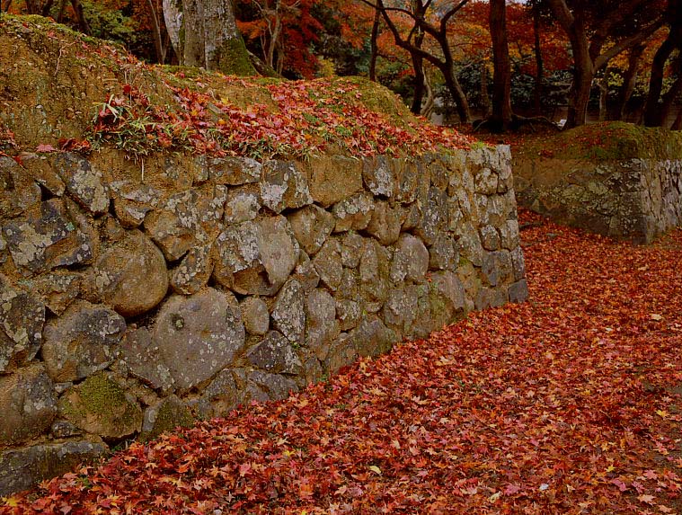 東大寺　僧坊跡　紅葉_c0108146_18464074.jpg