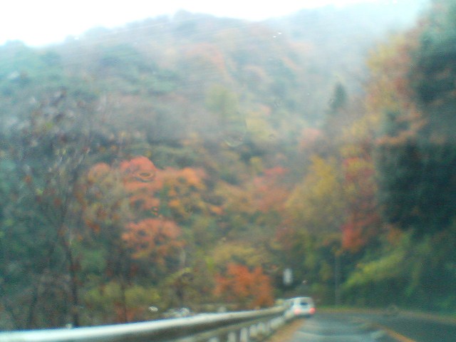 e0089847_19594551.jpg