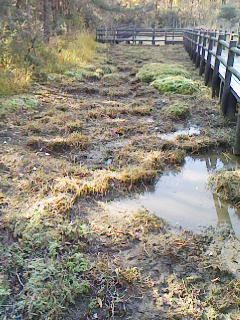 c0100148_2303224.jpg