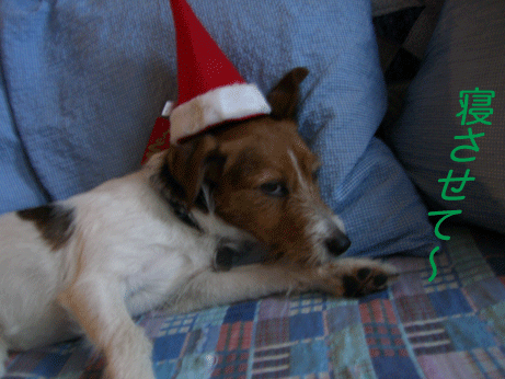 f0077150_15512385.gif