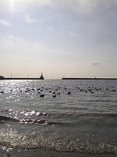 c0069552_8481490.jpg