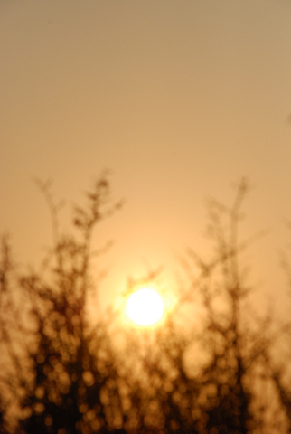 c0076759_1024421.jpg