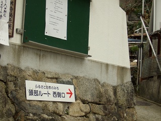 b0095061_81593.jpg