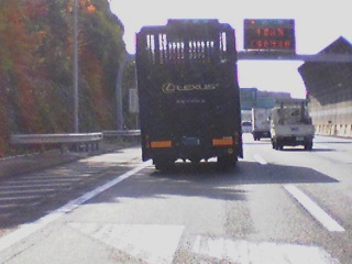 c0071965_0225019.jpg