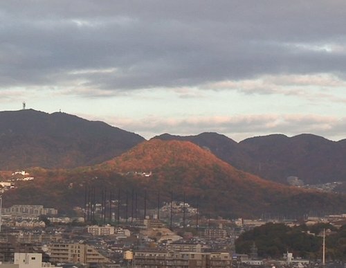 d0083265_224748.jpg