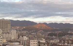 d0083265_2365245.jpg