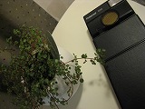 c0148270_19352642.jpg