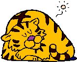気功って凄い!!_f0138875_2256050.jpg
