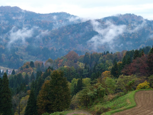 a0025576_2243325.jpg
