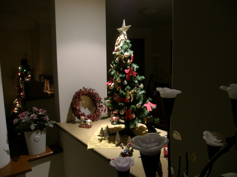 d0117077_2033285.jpg