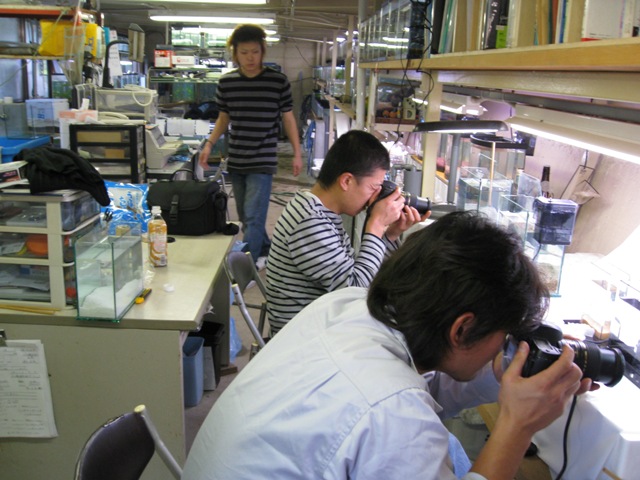f0054079_179976.jpg