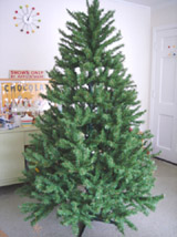 c0063182_11324455.jpg