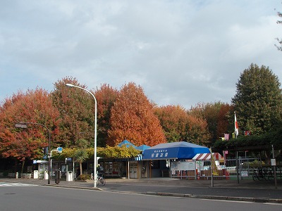 c0105785_9224392.jpg