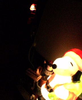 b0054498_116358.jpg