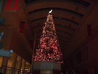 f0153998_0465453.jpg