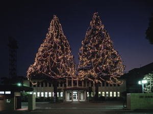 2007年12月3日（月）　；曇り～雨～晴れ_d0051601_12415380.jpg