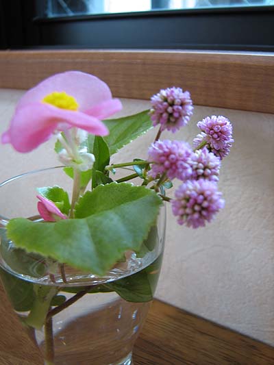 b0048803_2043188.jpg