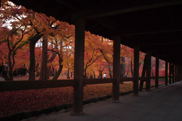 東福寺の紅葉～２_c0077605_1243653.jpg