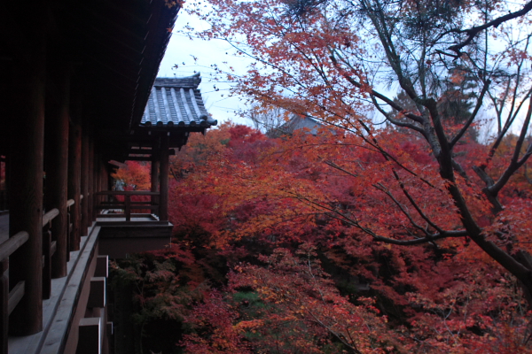 東福寺の紅葉～２_c0077605_1254987.jpg