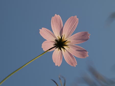 a0041508_2256139.jpg