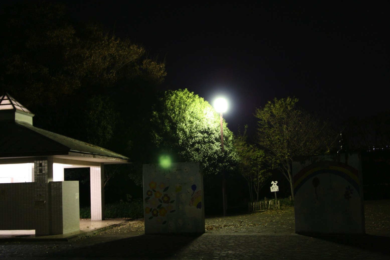 SP AF 28-75mm F/2.8　夜間撮影_f0141609_23421856.jpg