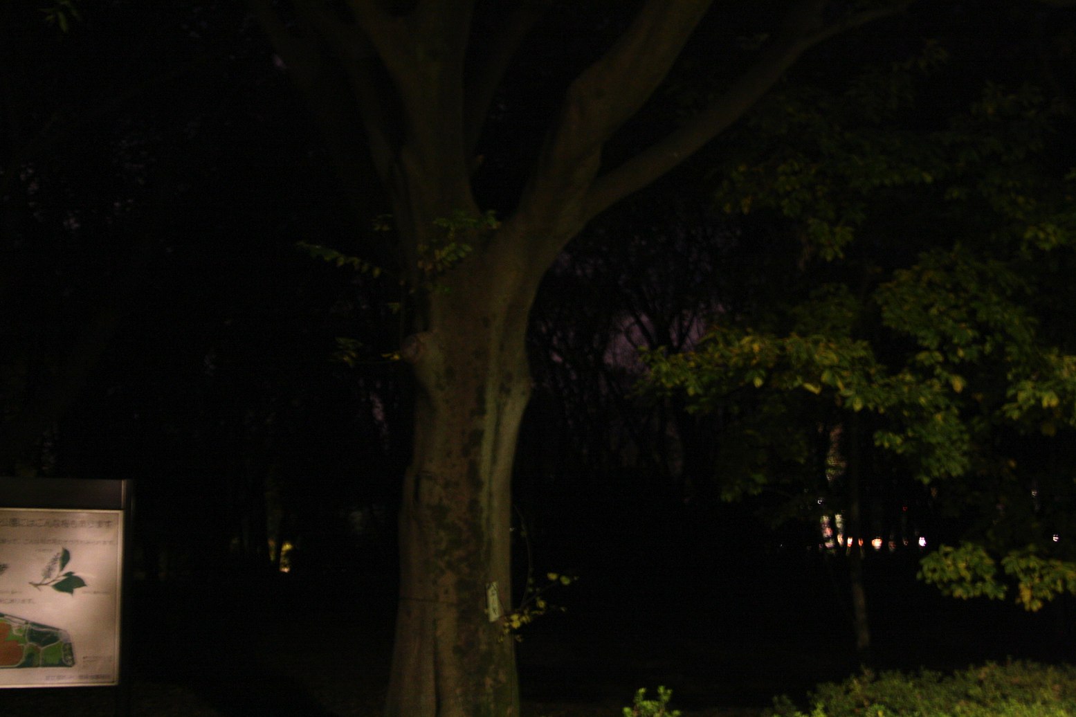 SP AF 28-75mm F/2.8 夜間撮影_f0141609_23424643.jpg
