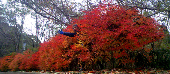 a0062810_18502387.jpg