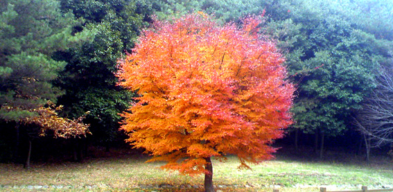 a0062810_18503456.jpg