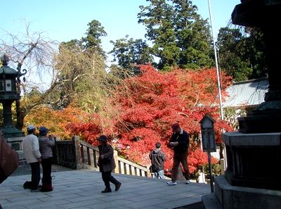 c0073016_23201431.jpg