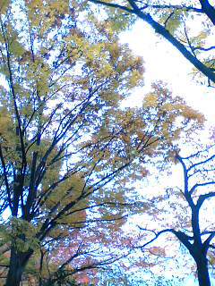 b0020723_032164.jpg