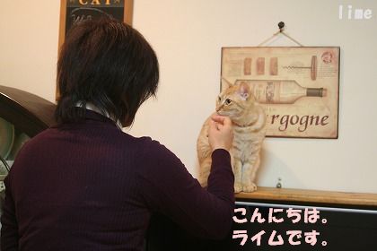 f0063729_2081440.jpg
