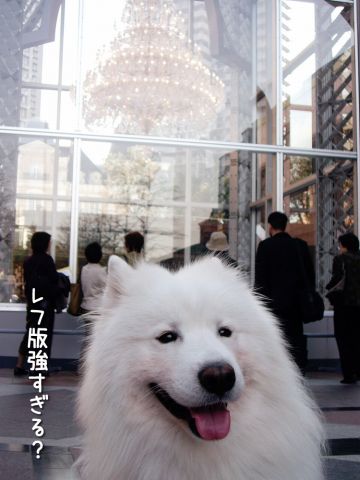 おっきな広場の昼下がり_c0062832_18111575.jpg