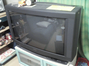 a0009333_21174686.gif