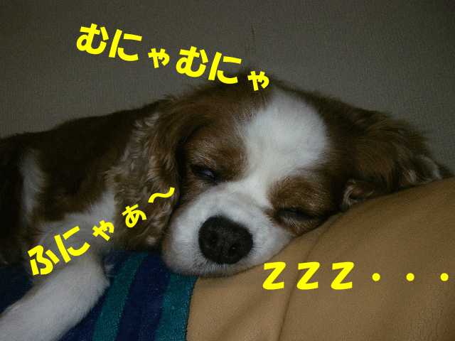 c0136838_21234154.gif