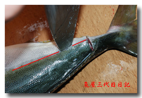 大型魚の捌き方 後編 前編で捌いたハマチを三枚におろします 魚屋三代目日記 大型魚の捌き方 後編 前編で捌いたハマチを三枚におろします 魚屋三代目日記
