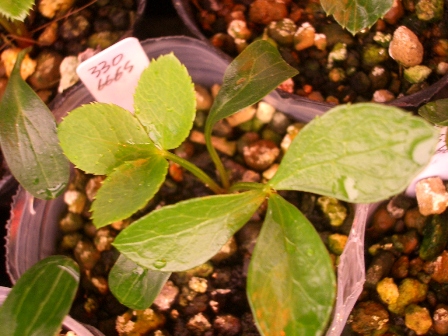 c0025140_2224597.jpg