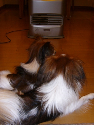 e0100046_201196.jpg