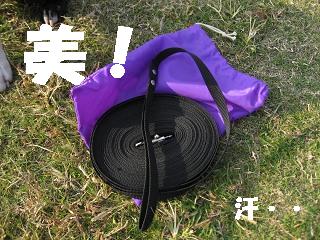 e0126046_17393256.jpg
