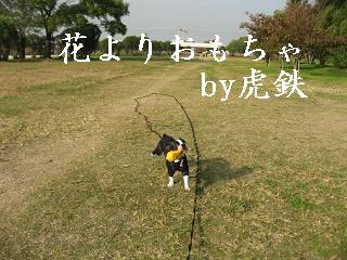 e0126046_17411475.jpg