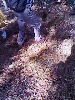 c0100148_0321829.jpg