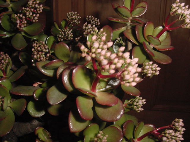 c0123748_15214538.jpg