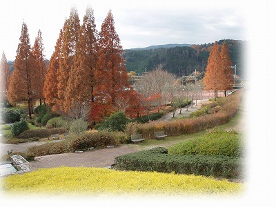 d0048350_19543890.jpg