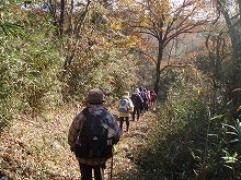 d0048350_19574713.jpg
