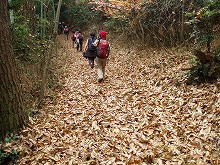 d0048350_200375.jpg