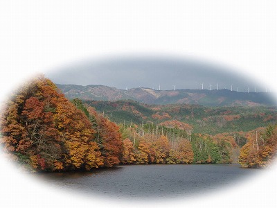 d0048350_2010216.jpg