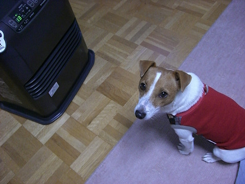 f0108553_20103296.jpg